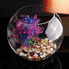 Transpa Terrarium Glass Fish Bowl