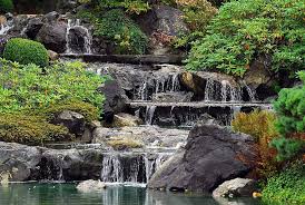 Waterfall Garden Plant Stream Photo