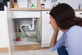 Causes Of Mold In The Kitchen And How