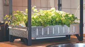 Indoor Smart Garden Systems Under 200