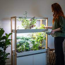 Rise Gardens Indoor Hydroponic System