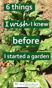 I Wish I Knew Before I Started A Garden