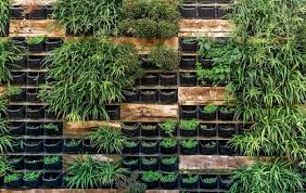 Vertical Gardening Living Wall