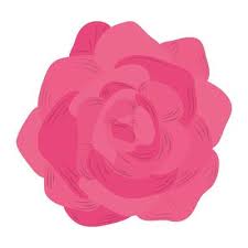 Pink Rose Petals Vector Art Icons And