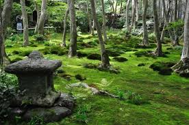 What Makes A Typical Japanese Garden