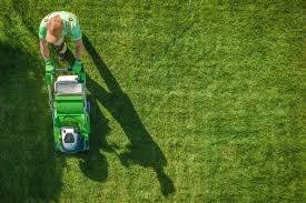 Icon Zoysia Grass