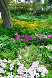 39 Dry Shade Garden Ideas Shade