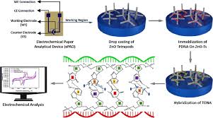 detection of prostate cancer dna using