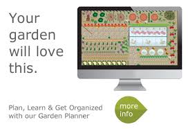 Planning A Square Foot Garden Pros And
