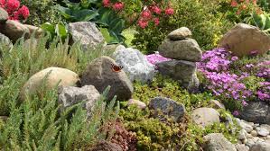 36 Rock Garden Ideas And Tips On How To