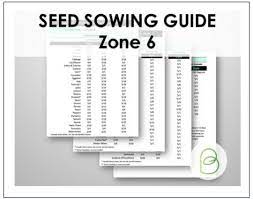 2024 Seed Starting Cheat Sheet Zone 6