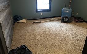 Benefits Of Hot Water Extraction Carpet