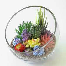 Glass Bowl Vase Plant Terrarium