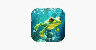 Pocket Frogs Tiny Pond Keeper On The