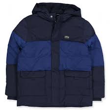 Lacoste Winter Jacket Navy Blue