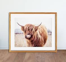 Highland Cow Poster Cow Wall Art
