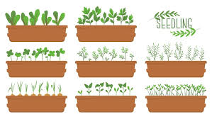 Raised Garden Bed Icon Isolated On