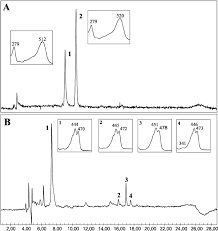 Chromatograms And Uv Vis Spectra Of