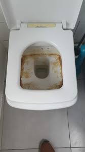Remove Limescale From Toilet Bowl