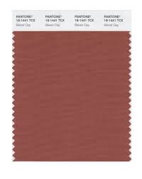 Pantone 18 1441 Tcx Swatch Card Baked