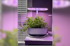 Indoor Hydroponics Introduction To