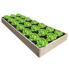 Agfabric Easy Plant Weed Block For