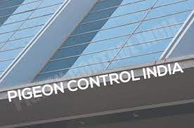 Pigeon Control India In Vadodara India