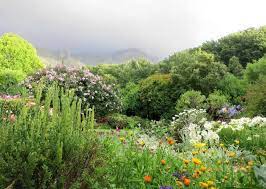 Garden In South Africa