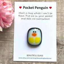 Pocket Penguin Cute Animal Gift