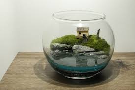 Live Moss Terrarium Cabin By The Lake
