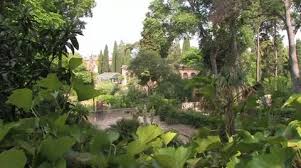 Mediterranean Garden Stock Footage