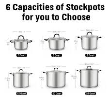 20 Qt Stainless Steel Stock Pot