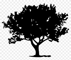 Fig Tree Silhouette Png Clipart