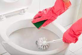Remove Yellow Toilet Seat Stains