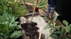 How To Test And Amend Your Garden Soil
