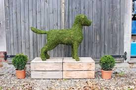Topiary Dogs How To Grow Your Own Dog