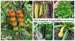 The Easiest Vegetables To Grow In