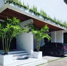 Extra Large Indoor Planters For Trees