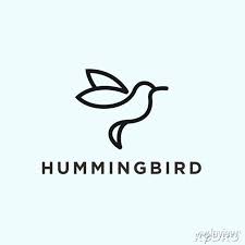 Abstract Hummingbird Logo Bird Icon
