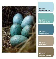 Robins Egg Blue Paint