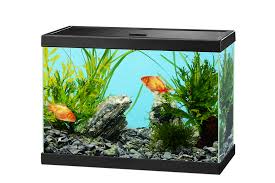 Glass Fish Tank Aquarium