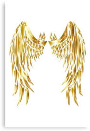 Golden Wings Canvas Print For By