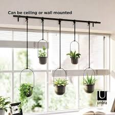 Umbra Triflora Hanging Plastic Planter