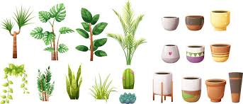 Decorative Houseplants In Pots Mega Set