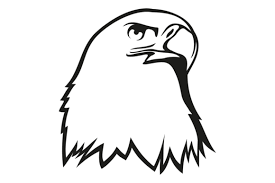 Eagle Head Icon Hawk Outline Logo