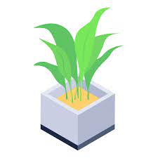 Indoor Plants Free Farming And