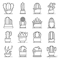 Succulent Icons Set Outline Set Of