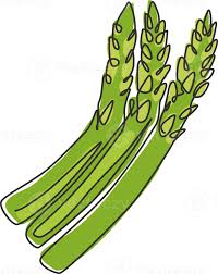 Healthy Organic Asparagus