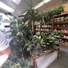 Sloat Garden Center Updated April