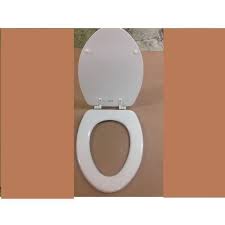 Elongated Toilet Seat Color Bone